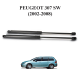Lot de 2 vérins de coffre hayon pour Peugeot 307 SW Break de 2002 à 2008
